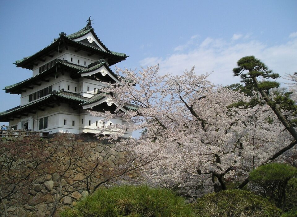 Castelli originali del Giappone
